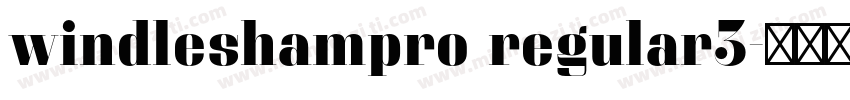 windleshampro regular3字体转换
